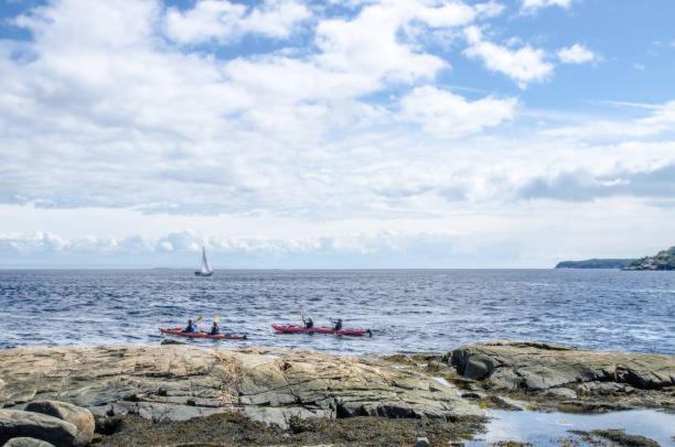 Motel De L'Anse A L'Eau Tadoussac Bagian luar foto
